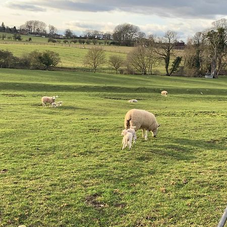 فيلا Weatherhead Farm Shepherds Hut باكنغهام المظهر الخارجي الصورة