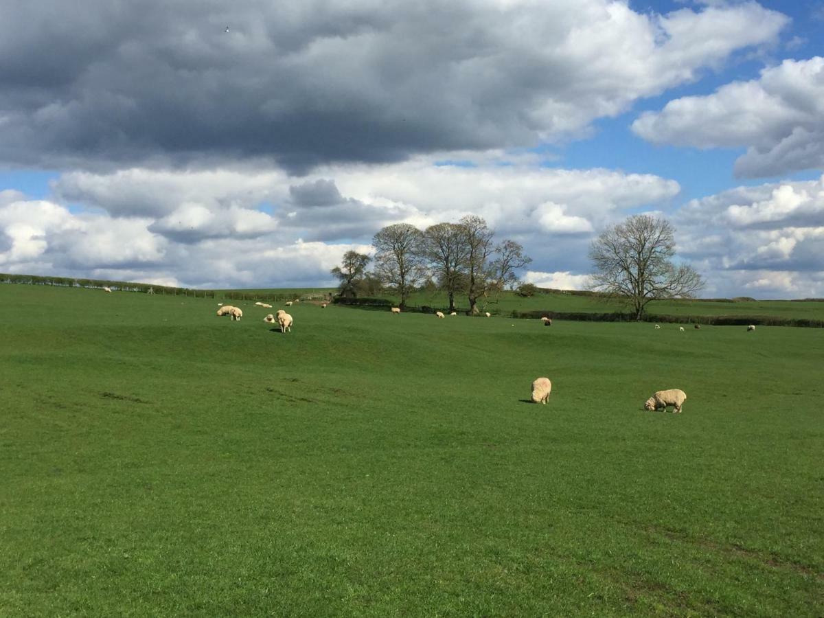 فيلا Weatherhead Farm Shepherds Hut باكنغهام المظهر الخارجي الصورة